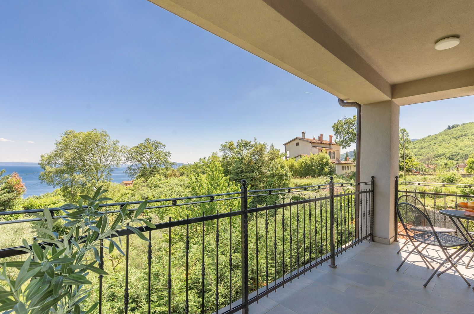 Balcony view through an olive branch toward the sea